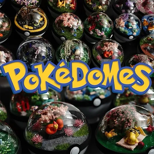 pokedomes